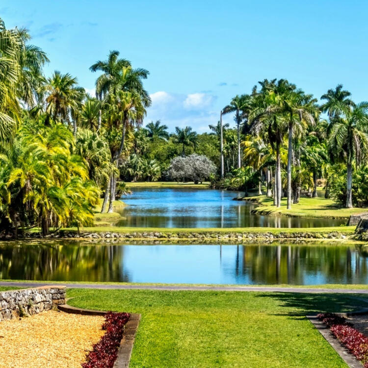 Un sereno jardín tropical con un estanque reflectante, rodeado de una variedad de exuberantes palmeras y cuidados céspedes verdes
