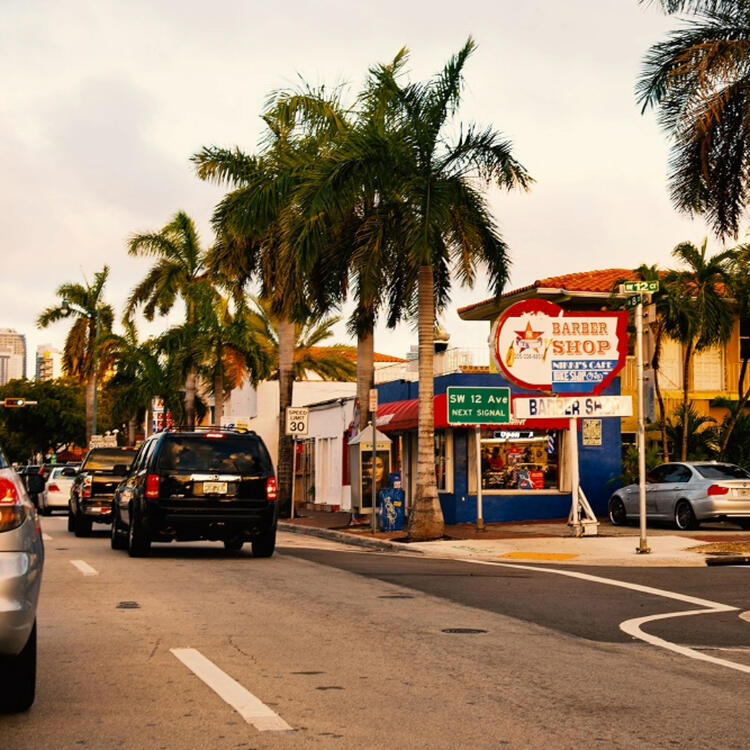 A bustling Little Havana street in Miami, with cars on the road, a barber shop sign, and palm trees lining the sidewalk