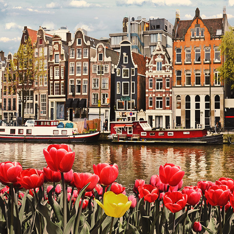 Vista de las pintorescas fachadas de Amsterdam desde el otro lado del canal, con tulipanes de colores 