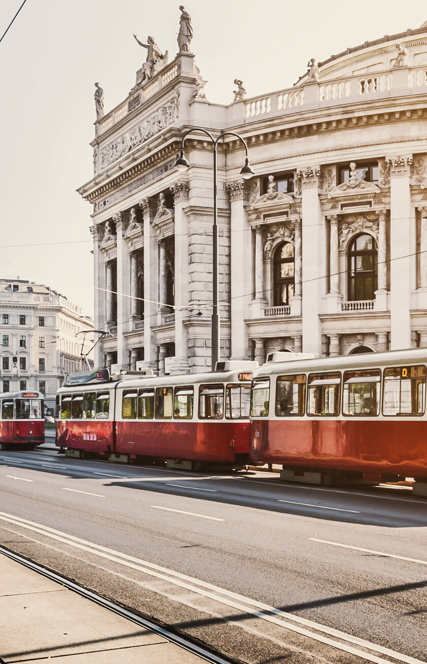 Viena, destino Condor