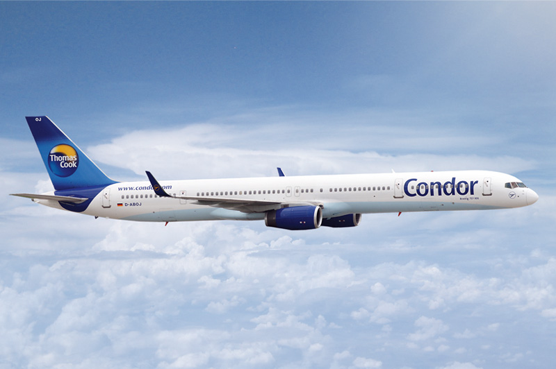 Condor La Empresa Galeria De Imagenes