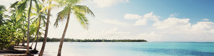 Caribbean Dreams On Flights To Dominican Republic
