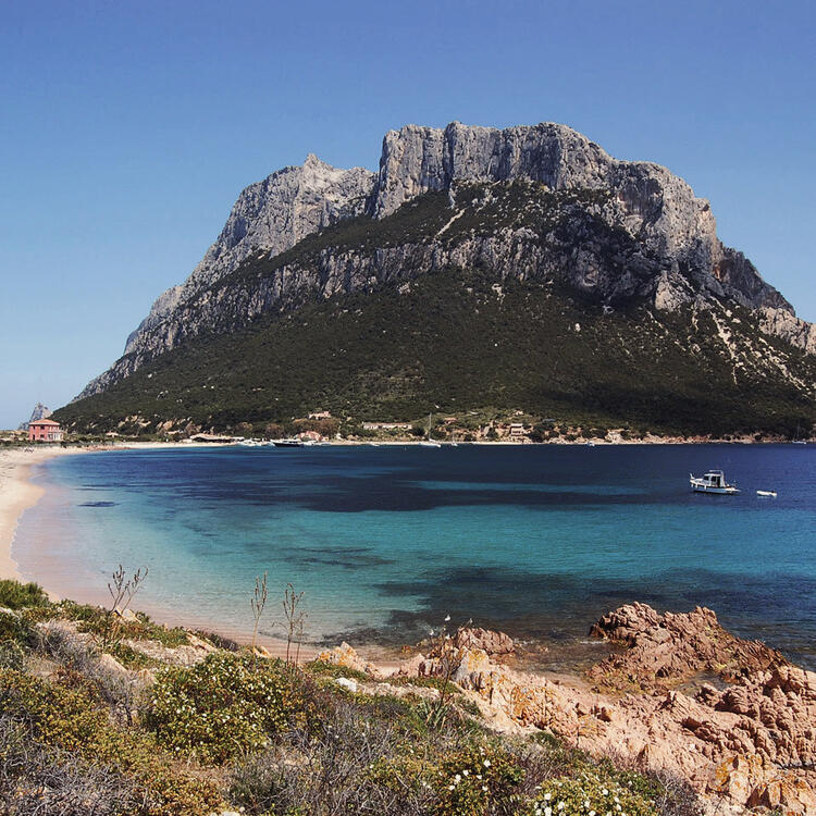 Panoramablick auf die Bucht von Isola Tavolara, der Insel Tavolara, Gemeinde Olbia, Costa Smeralda - Sardinien