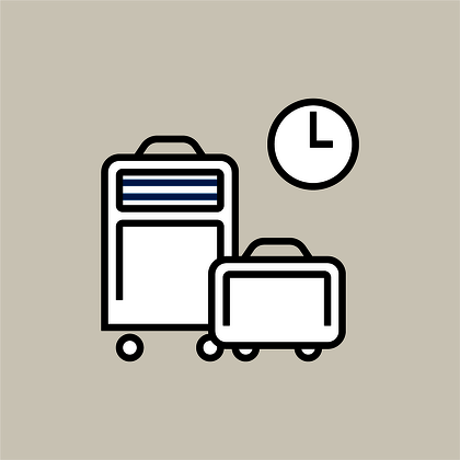 Icon Gepäck