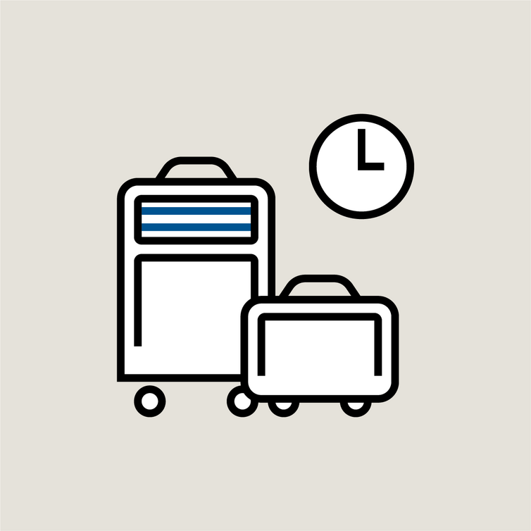 delayed luggage icon