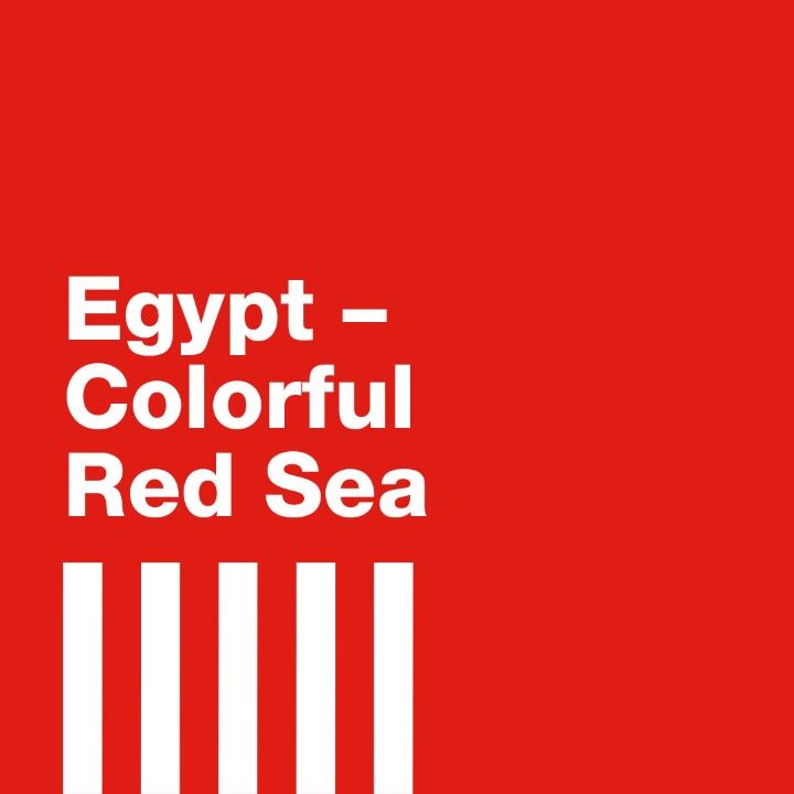 Striped week. Egypt. Colorful Red Sea.