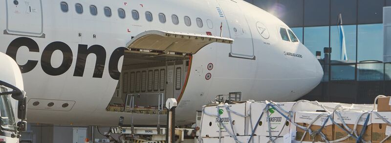 Condor A330 Flugzeug wird mit Farcht beladen