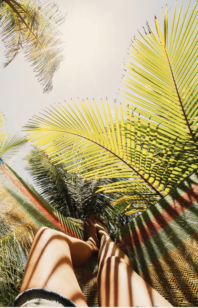 Hammock surrounded by palm trees, from the perspective of the person lying in it.