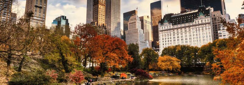 A scene in New York's Central Park in autumn, with colorful trees in the foreground and the skyline behind them