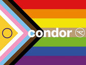 Condor Pride Rainbow colored stripes