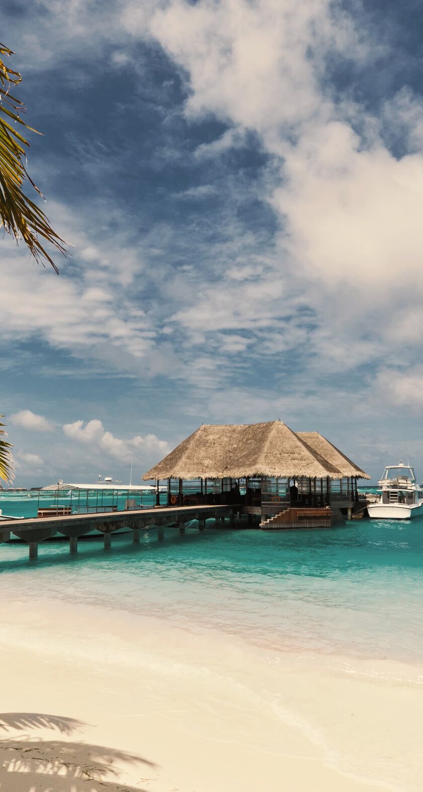Maldives dream beach with jetty and palm trees