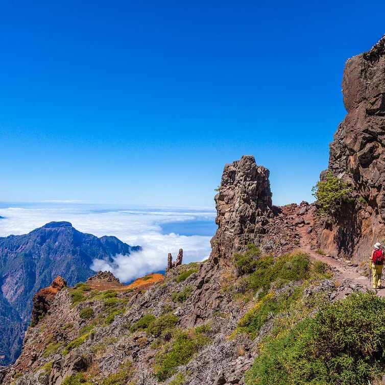 Great view and nature in Gran Canaria