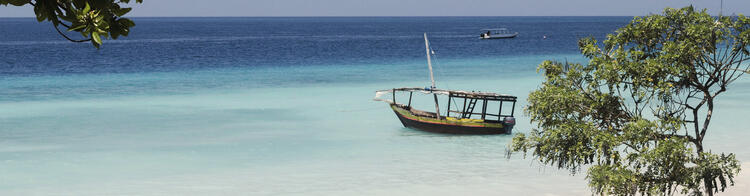 Bateau de pêche sur la mer entouré d'arbres sur la plage