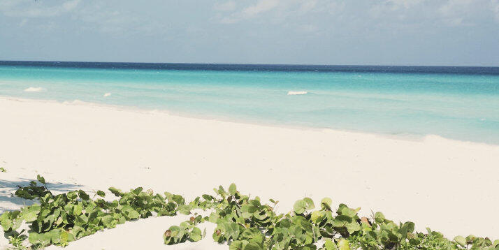 plage de sable blanc à Varadero Plage, mer turquoise