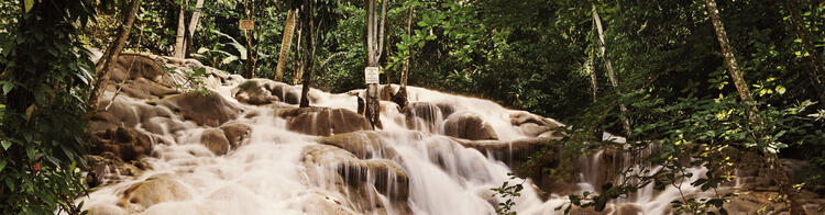 Une chute d'eau s'écoule sur des pierres dans la jungle