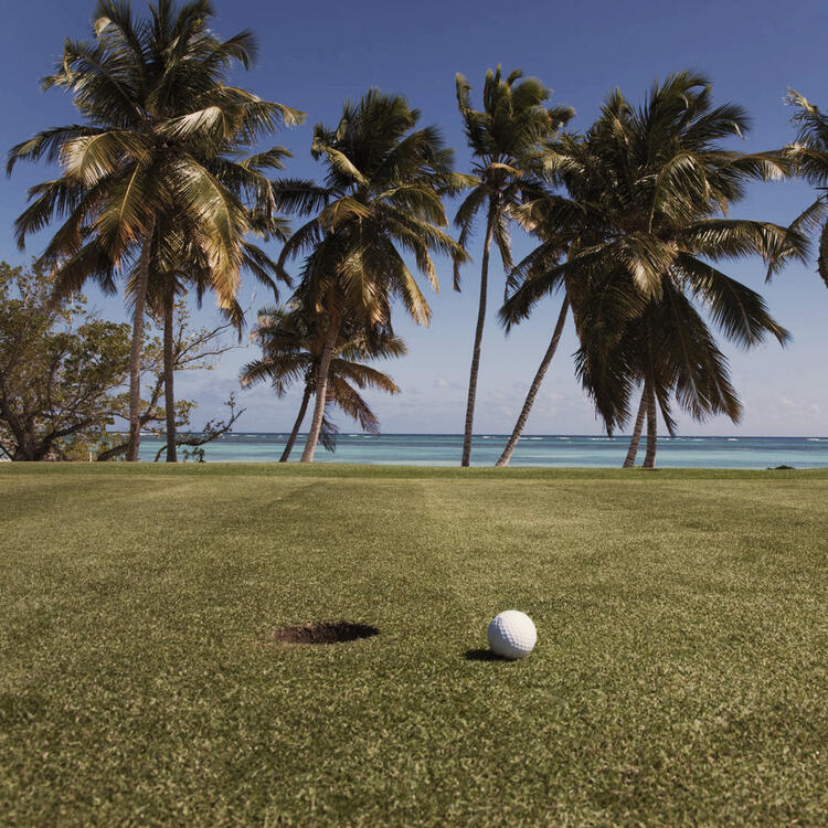 Terrain de golf à Punta Cana