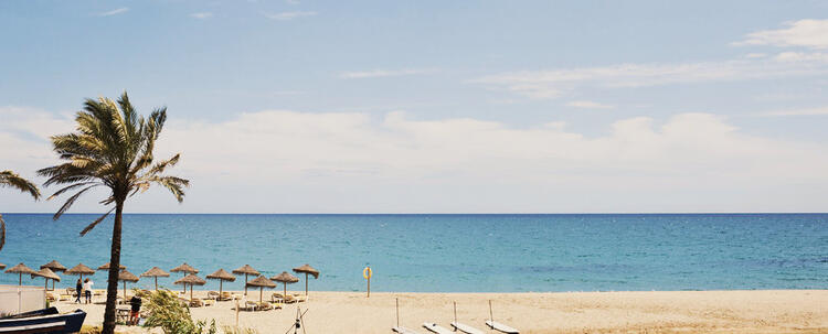 Plage avec un palmier et des parasols de paille