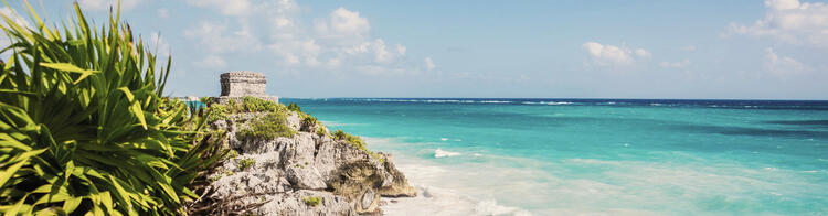 Herbes marines et rochers dans une mer turquoise