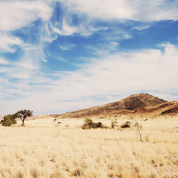 Réserve naturelle dans le désert de Namibie