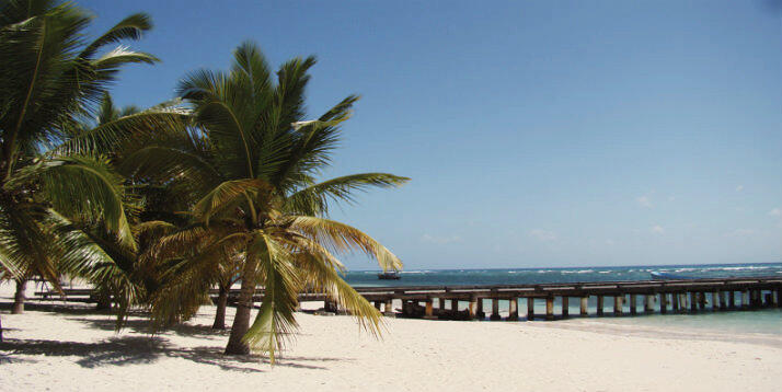 Plage de sable blanc à Saint-Domingue