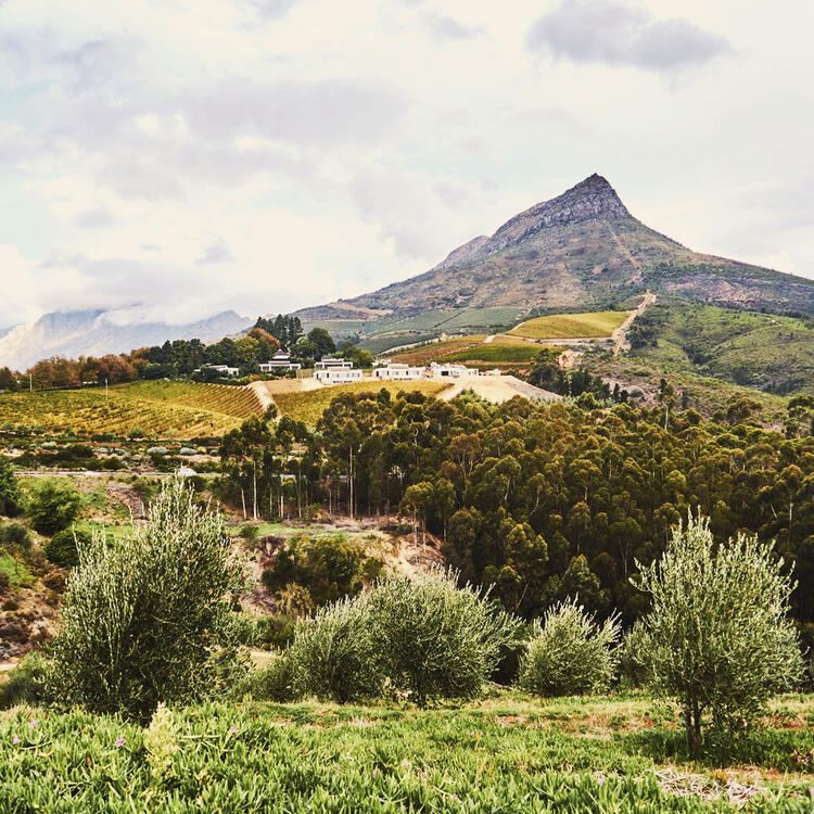 Vue sur une montagne à Stellenbosch