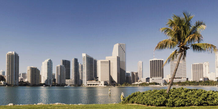 Superbe vue sur la ligne d'horizon de Fort Lauderdale Skyline avec palmier à Fort Lauderdale