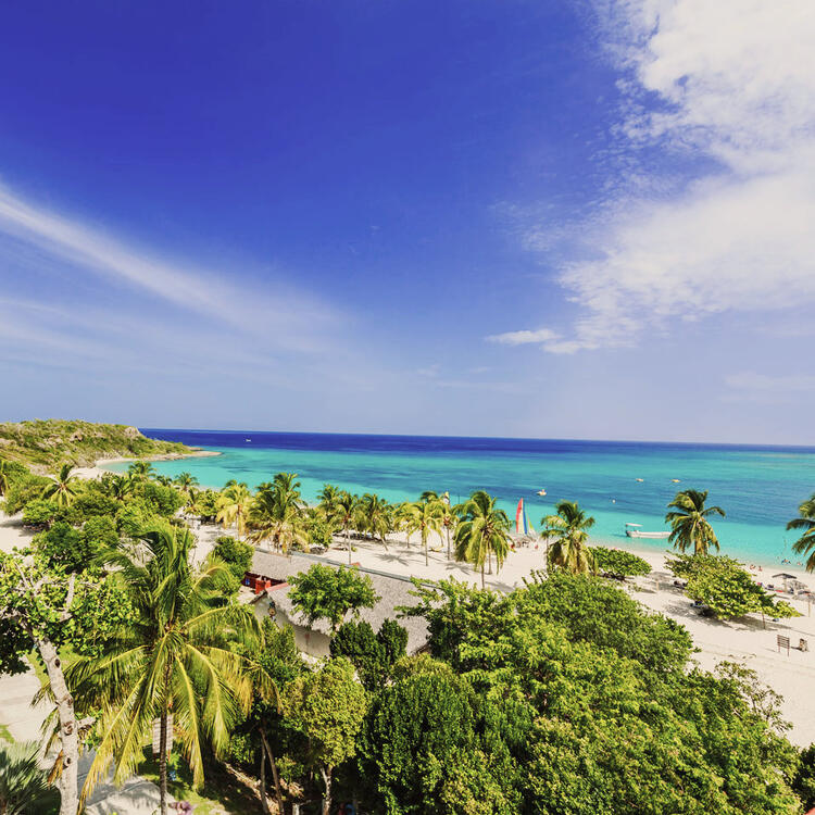 Palmiers sur la plage et mer turquoise