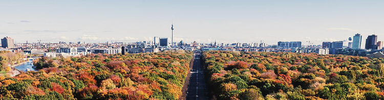 Image panoramique de l'Allemagne en automne avec des arbres colorés