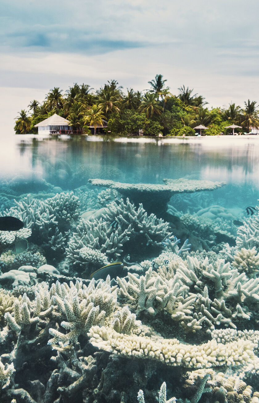Maldives, destination Condor