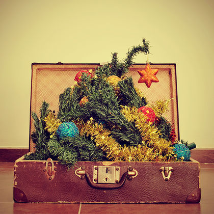 Weihnachtsbäume