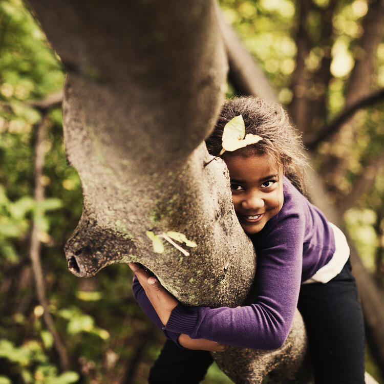 Un enfant s'accroche à un arbre