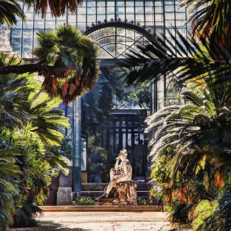 Orto Botanico di Palermo, Italia Scultura e piante esotiche in una serra storica dell'Orto Botanico di Palermo