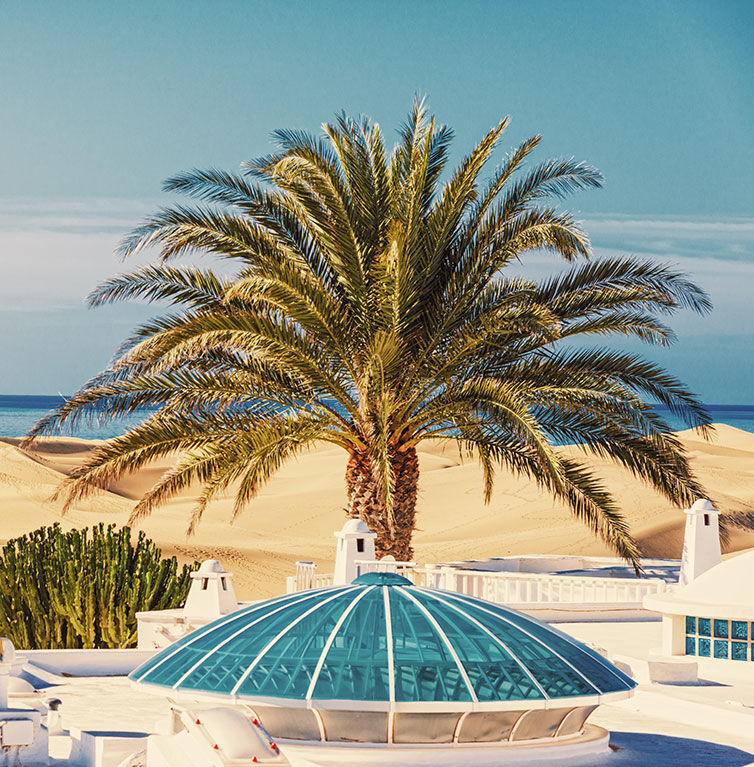 Een sereen plaatje van een zwembad op Gran Canaria met een grote palmboom op de voorgrond en op de achtergrond helderblauw water van een zwembad en een schitterend zandstrand onder een heldere lucht.