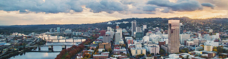 Condor Portland Panorama