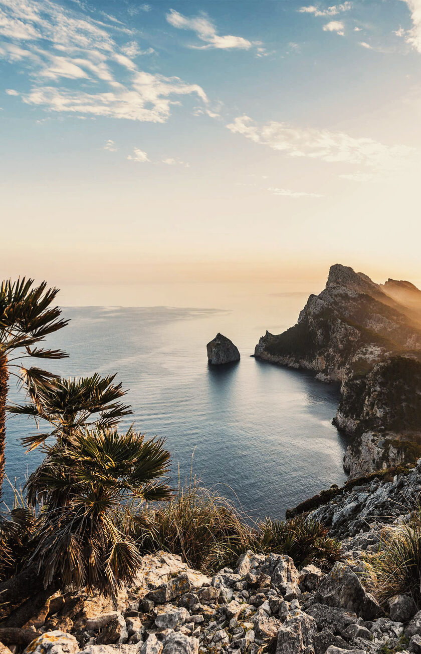 Zonsopgang op Majorca (PMI), Condor Bestemming