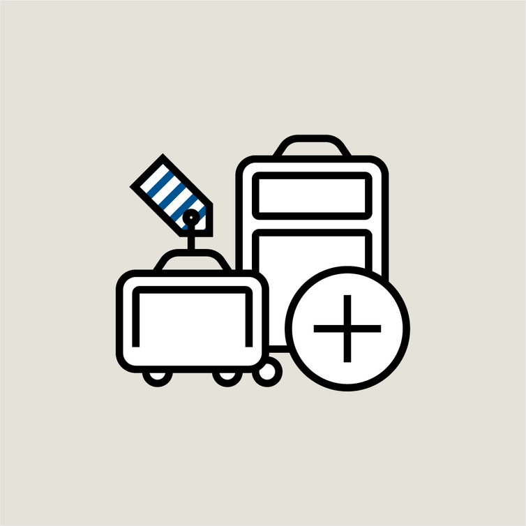bagagem adicional icone