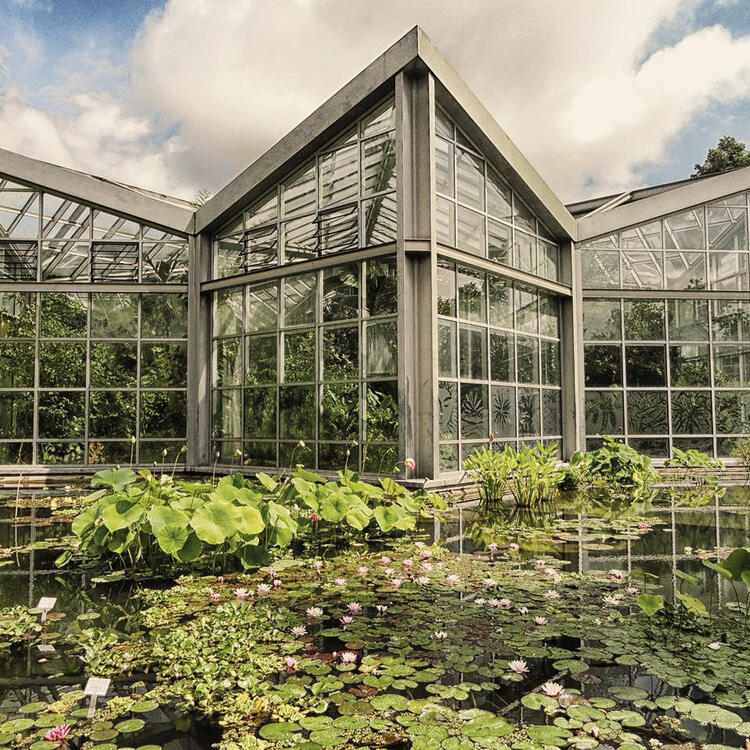 Estufa de vidro moderna no Jardim das Palmeiras com uma lagoa de nenúfares em primeiro plano, folhagem exuberante e flores de lótus coloridas, destacando-se num dia parcialmente nublado