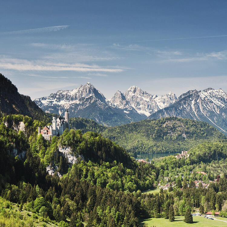 Castelo de Neuschwanstein sobre uma colina arborizada com as montanhas dos Alpes ao fundo em um dia claro.