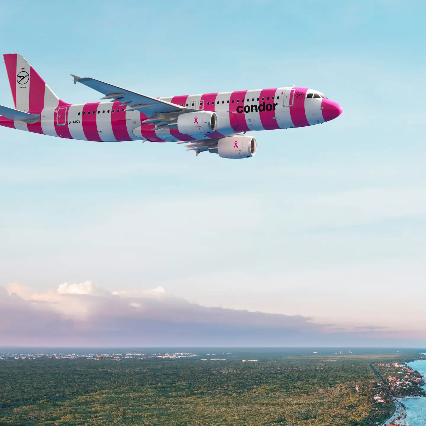 Condor plane with pink and white livery and breast cancer ribbon flies over tropical coast at sunset.