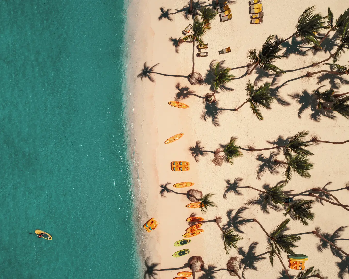 Toma aérea de la playa en Punta Cana con palmeras, kayaks y el agua cristalina del Caribe.