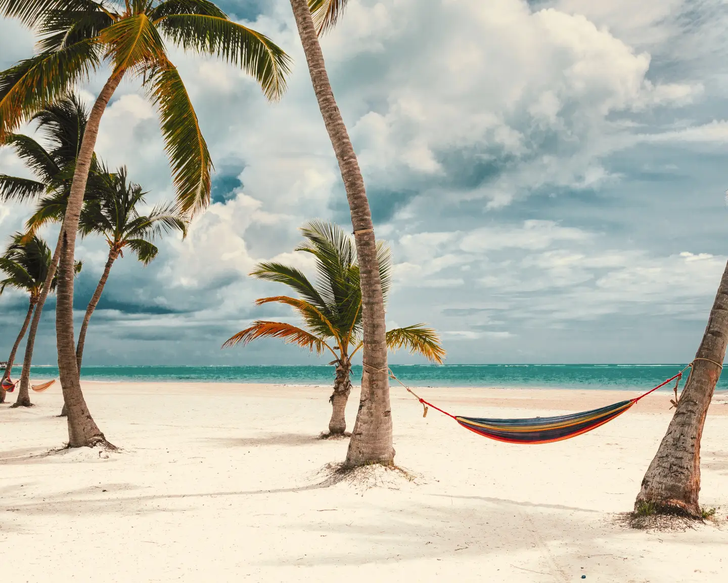 Palmen und Hängematte an einem weißen Sandstrand in der Karibik mit türkisblauem Meer.