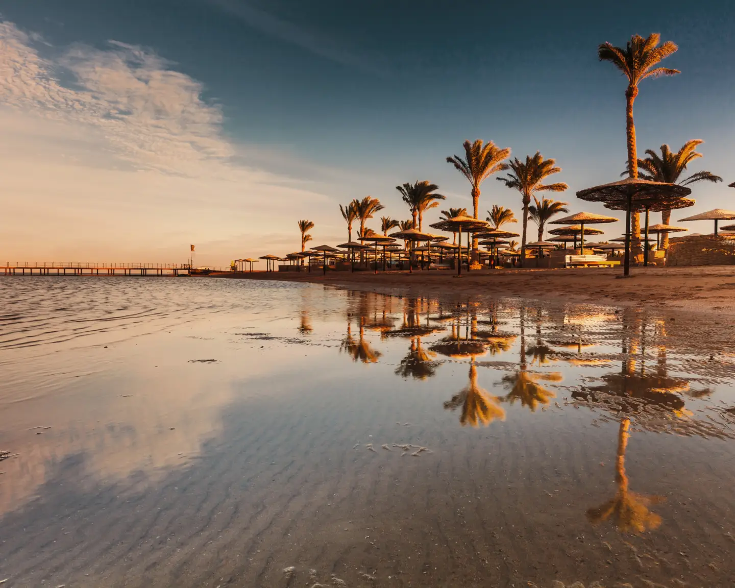 Front de mer avec vue sur la plage et les palmiers au coucher du soleil.