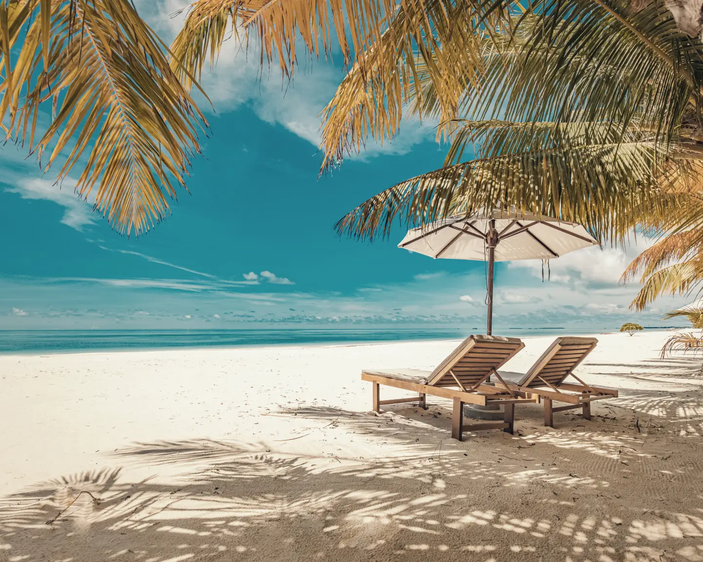 Une plage ensoleillée avec du sable blanc, des palmiers et des chaises longues, offrant une vue sur une eau bleue cristalline.