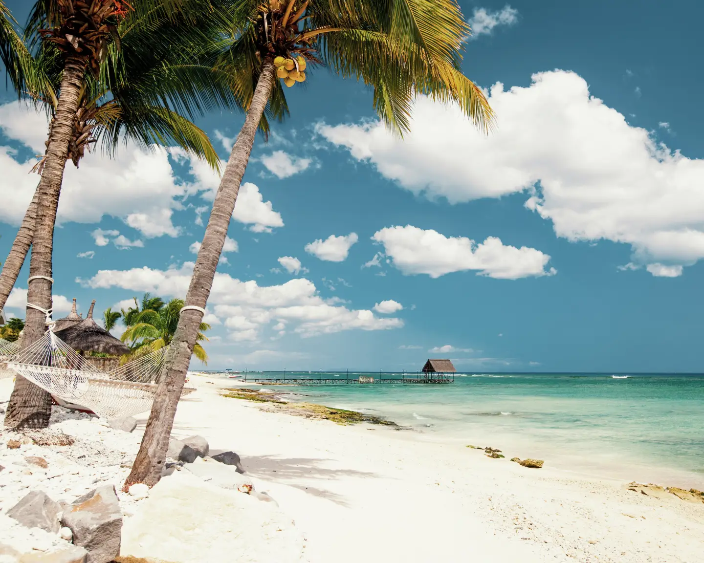 view of a hammock between two palmtrees on the beach next to the ocean 
