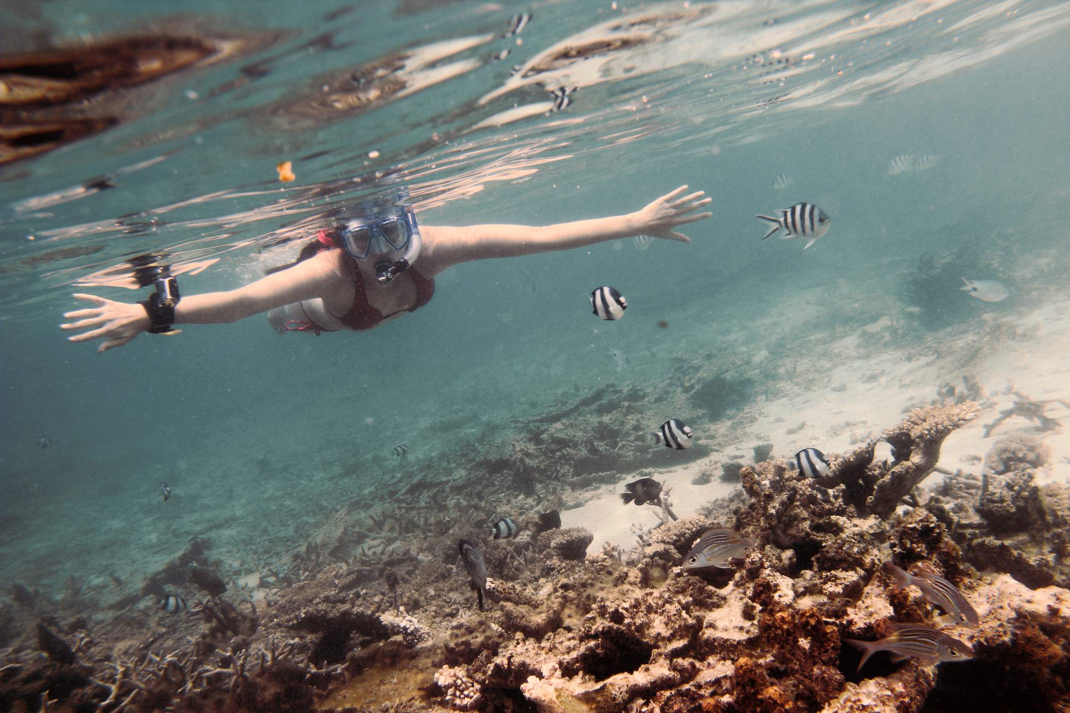 a woman snorkeling in the ocean with fish over a small reef