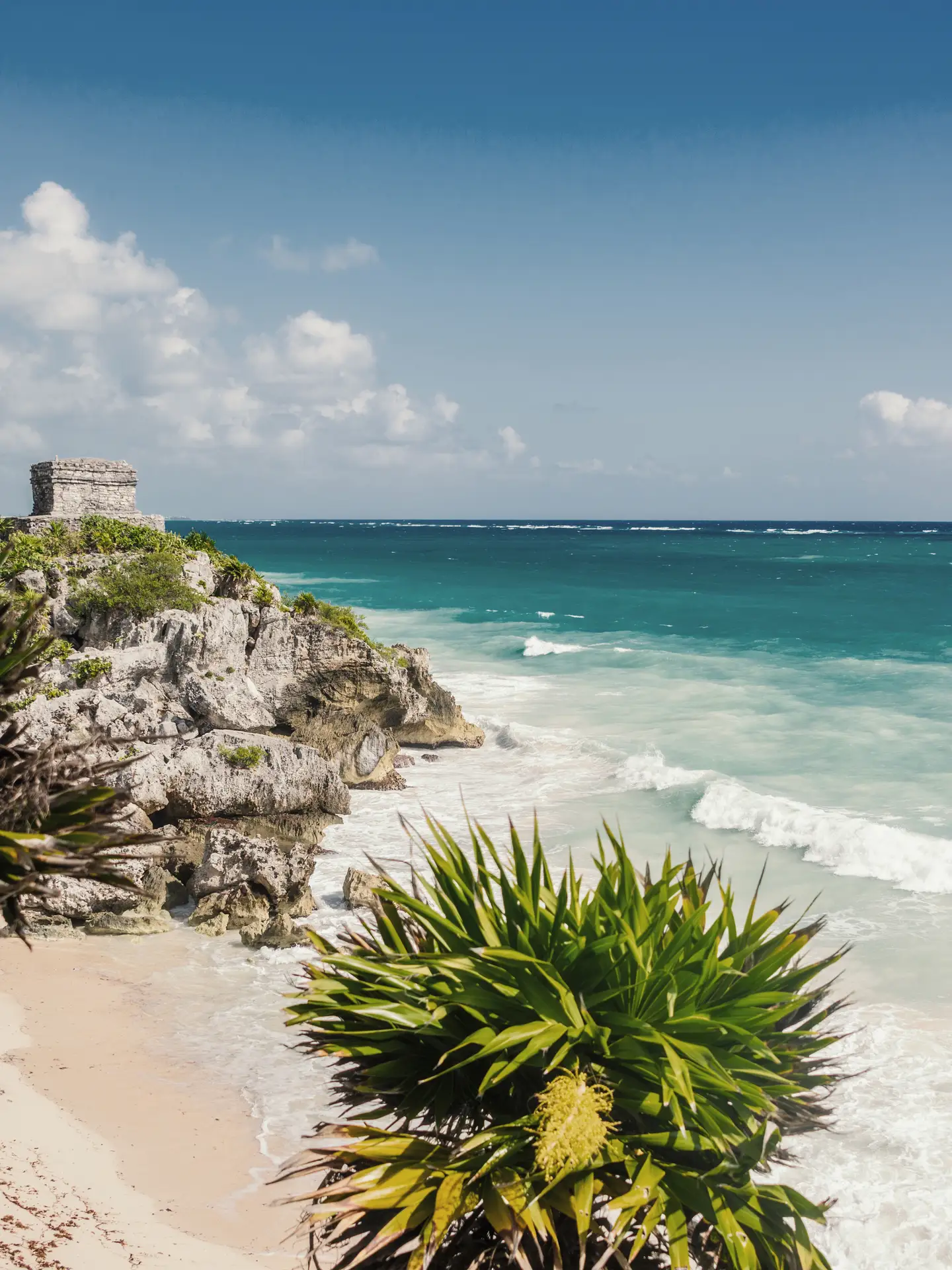 Vista de la costa de Tulum, Cancún, con ruinas mayas en un acantilado, rodeadas de plantas tropicales y las aguas turquesas del mar.