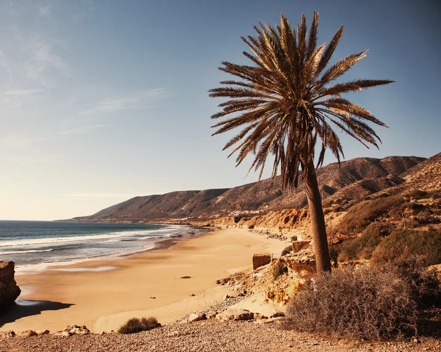 Promenade de plage le long de l'océan avec un palmier près de Taghazout, au nord d'Agadir.