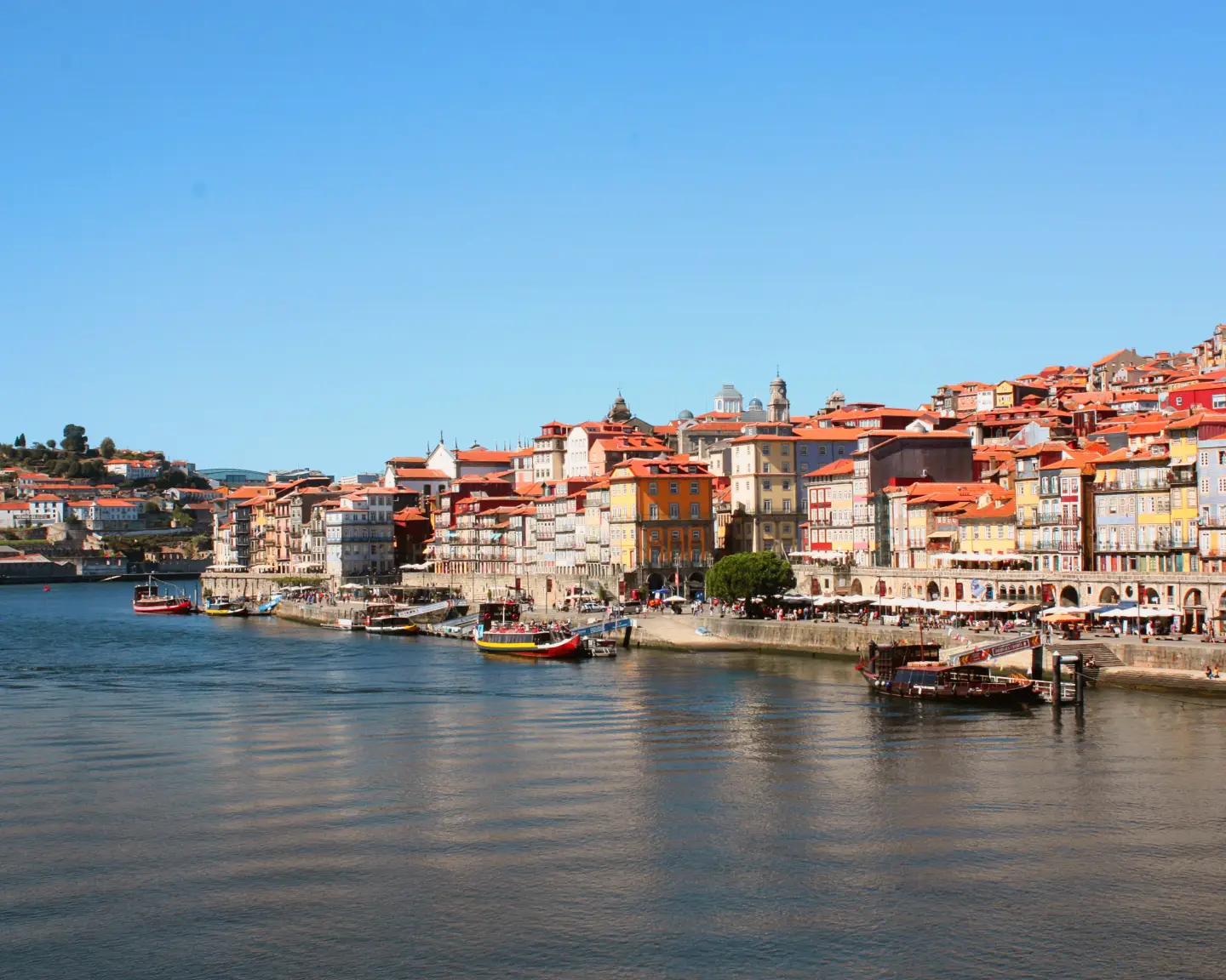 opo-porto-portugal-city-view-condor