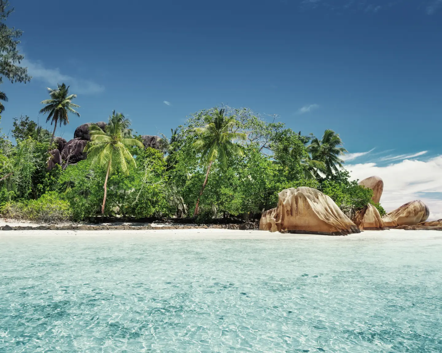 Tropischer Strand auf den Seychellen mit türkisfarbenem Wasser, Palmen und Granitfelsen.