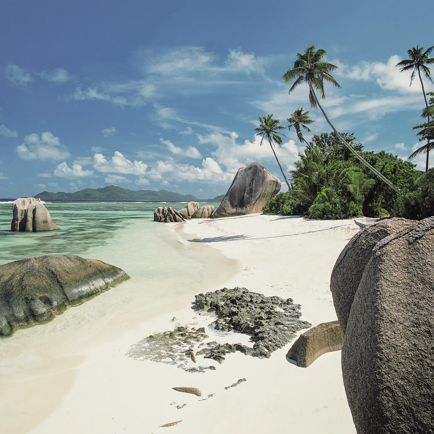 The Anse Source d'Argent beach on La Digue, Seychelles, with white sand, large granite rocks, palm trees and clear, turquoise water under a blue sky.